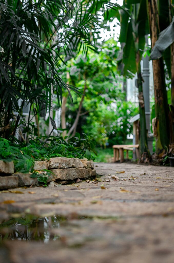 Your garden is another room and you have the key