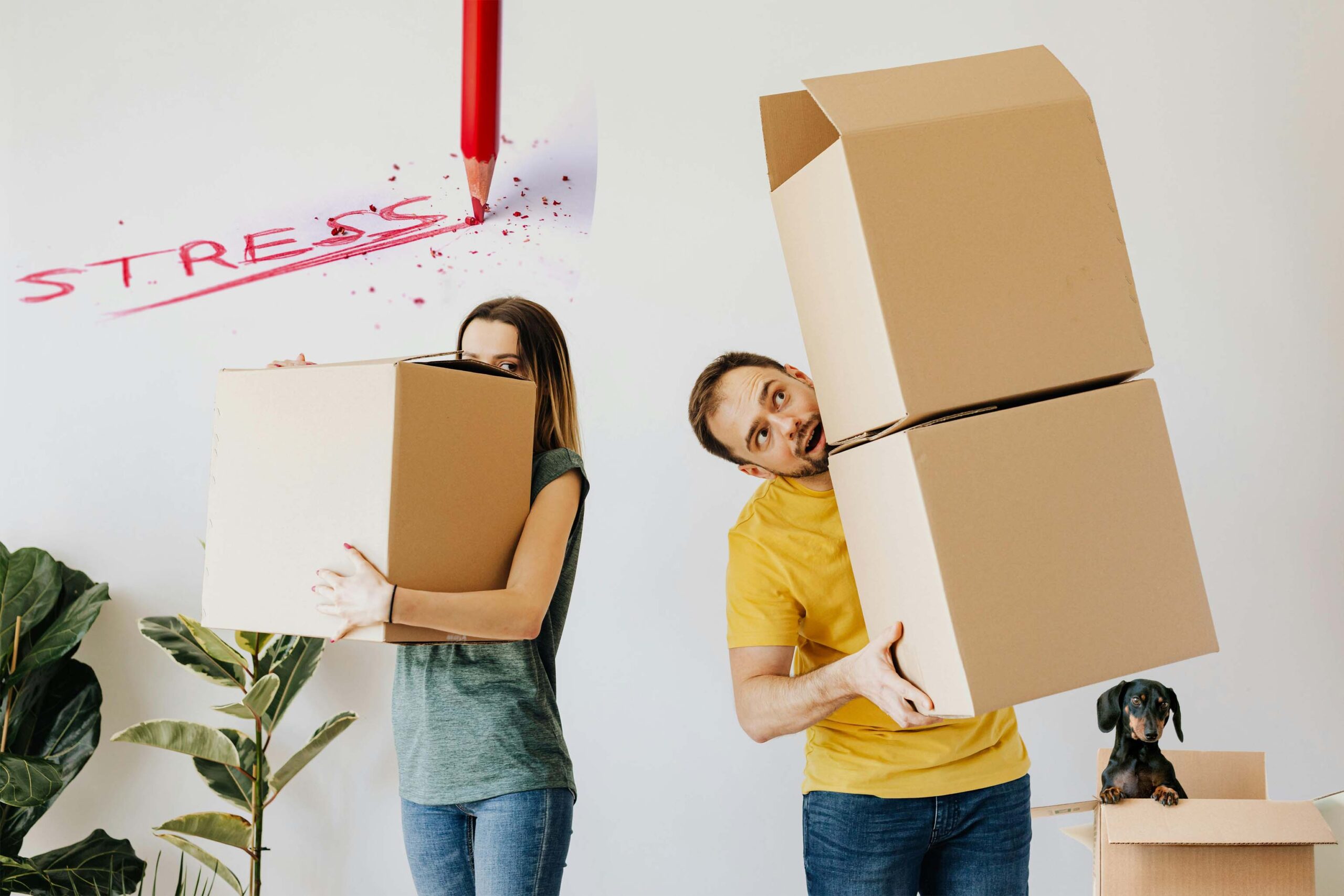 Stress of buying is the reason for many homeowners improving instead of moving